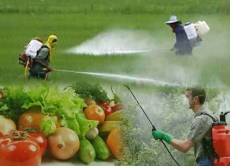 Пам’ятка населенню: Правила поведінки і дії при загрозі отруєння агрохімікатами