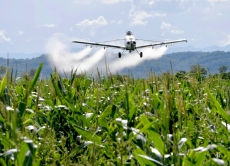 До уваги сільгоспвиробників: що необхідно для отримання погодження на авіахімобробку рослин!