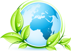 Чисте довкілля – запорука нашого здоров’я!