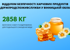  Стоп фальсифікат: на Вінниччині Держпродспоживслужба вилучила з обігу 2858 кг меду