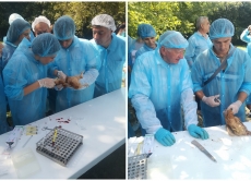 Спеціалісти ГУ Держпродспоживслужби у Вінницькій області провели стимуляційний тренінг-навчання щодо грипу птиці
