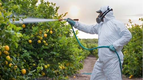 Як в умовах карантину отримати Допуск (Посвідчення) на право здійснення робіт, пов’язаних з пестицидами та агрохімікатами!
