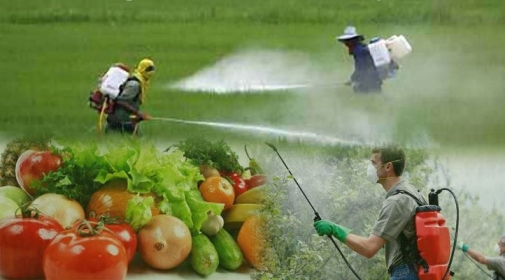 Пам’ятка населенню: Правила поведінки і дії при загрозі отруєння агрохімікатами