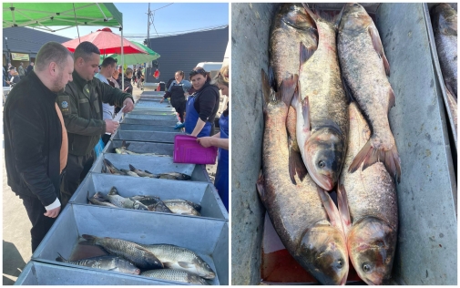 Держпродспоживслужба перевірила місця продажу живої риби та інших гідробіантів на ринках Вінниці