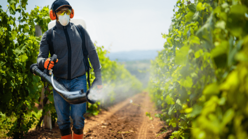 Алгоритм видачі посвідчень про право роботи з пестицидами