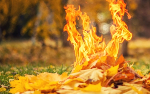 Спалювання листя становить загрозу для здоров'я та карається законом!