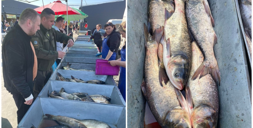 Держпродспоживслужба перевірила місця продажу живої риби та інших гідробіантів на ринках Вінниці